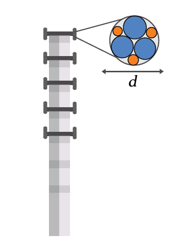 Imagen de referencia