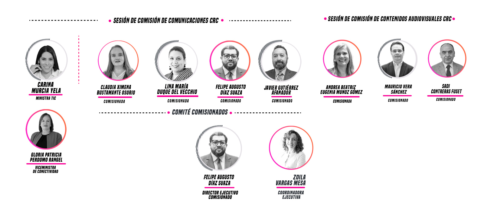 estructura de comisionados