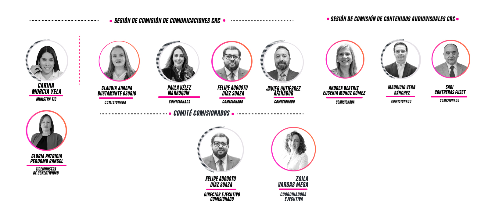 estructura de comisionados